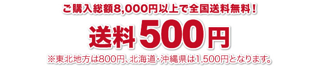 送料500円